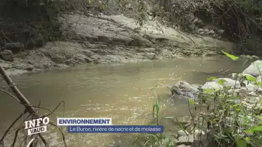 Le Buron, rivière de nacre et de molasse