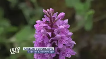 La poésie du botaniste alpin