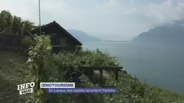 Tout savoir sur les capites du Lavaux