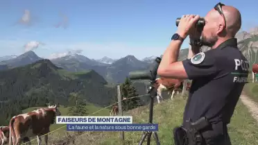 Le métier d&#039;inspecteur de la faune