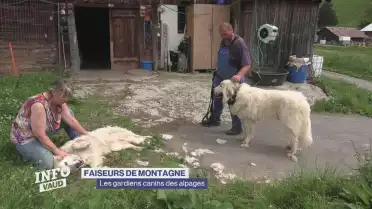 Des alpages sous bonne garde