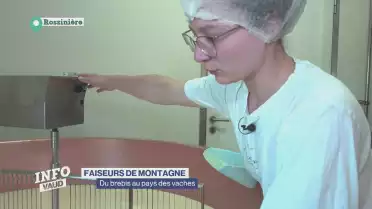 Une fromagerie où la brebis es reine