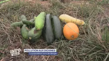 Les dioxines sans danger pour les Lausannois