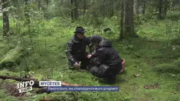 Journal du 11 septembre 2024