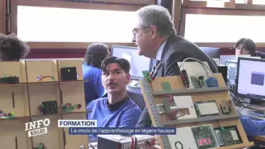 Formation, le choix de l&#039;apprentissage en légère hausse