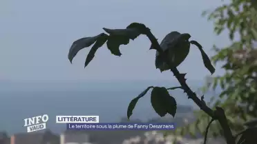 Roman et territoire sous la plume de Fanny Desarzens
