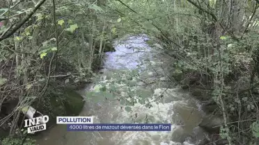 Pollution : 4000 litres de mazout déversés dans le Flon