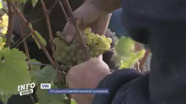 On pourra bientôt boire et conduire