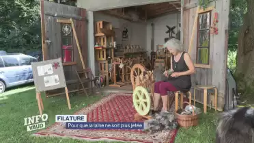 Pour que la laine ne soit plus jetée
