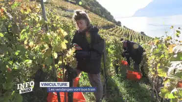 Journal du 14 octobre 2024