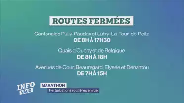 Perturbations routières en vue