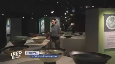 La Salamandre en eau vive