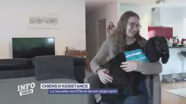 La nouvelle vie d&#039;Ella et de son ange canin