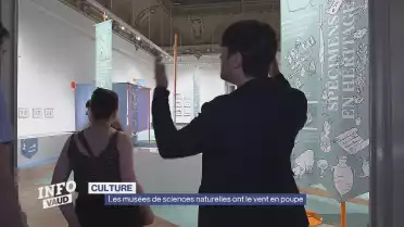Les musées de sciences naturelles ont le vent en poupe