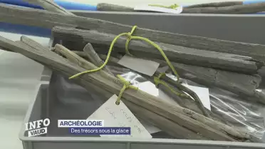 Des trésors sous la glace