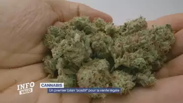 Un premier bilan &quot;positif&quot; pour la vente légale de cannabis