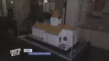 Les Lego dans le sang