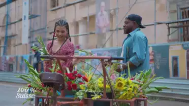 Color de Rosas de EDKUB