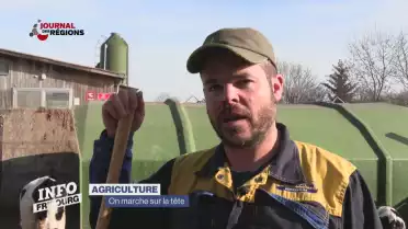 Journal du 2 février 2024