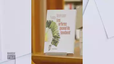 Les arbres quand ils tombent