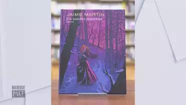 Un sombre manteau