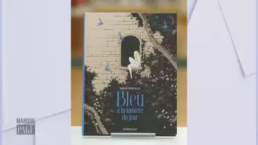 Bleu à la lumière du jour