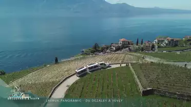 Découvrir - Lavaux-Panoramic