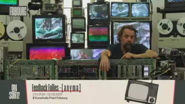 Feedback Follies - Anyma