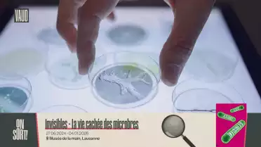 Invisibles - La vie cachée des microbes