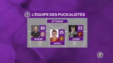 L&#039;équipe type des Puckalistes