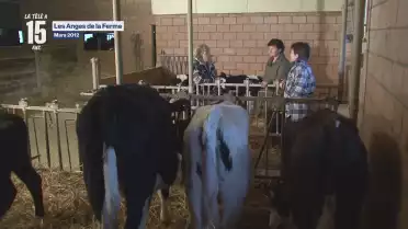 Les Anges de la Ferme - Mars 2012