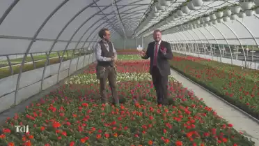 Tenue de jardin [S.2024][E.8]