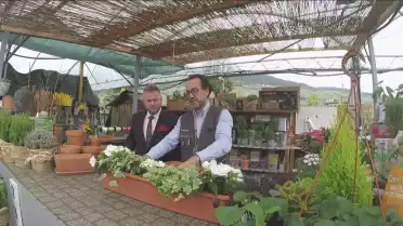 Les jardinières