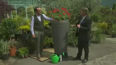 Plantes de sécheresse