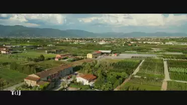 Plantes de Toscane