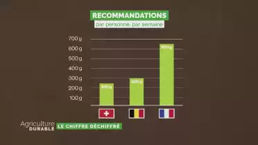 Le chiffre déchiffré - Viande et pyramide alimentaire