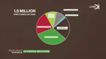 Le chiffre déchiffré - Terres cultivables et affouragement
