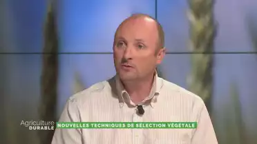 Les nouvelles techniques de sélection végétale