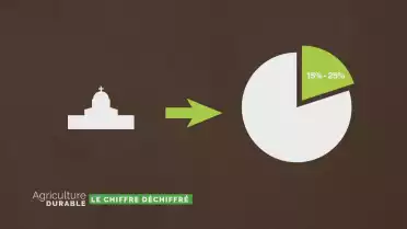 Le chiffre déchiffré - La protection douanière