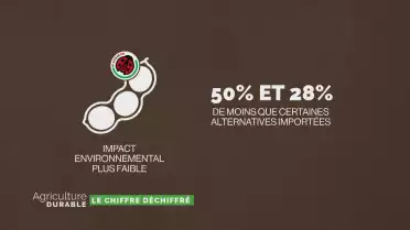 Le chiffre déchiffré - Les pois protéagineux