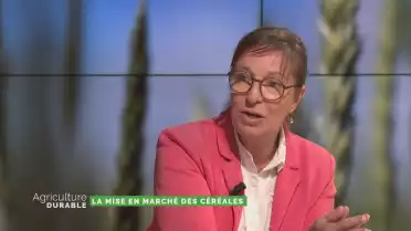 Les étapes de mise en marché des céréales