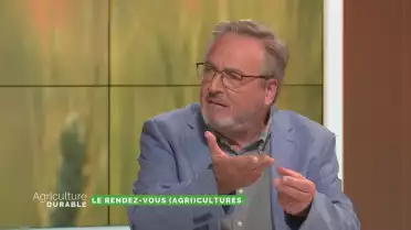 Cultures paysannes - L&#039;agriculture à l&#039;époque romaine