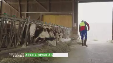 Dossier du mois - Préparer l'hiver à la ferme