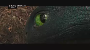 Les sorties ciné du 11 juin 2025