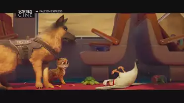 Les sorties ciné des 2 et 9 juillet 2025