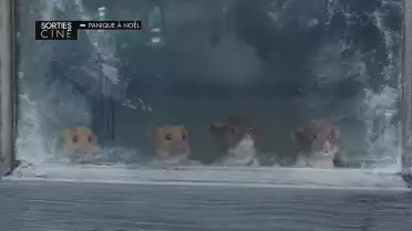 Les sorties ciné du 3 décembre 2025