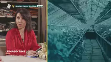 Agnès Schilliger: racines solides, idées folles