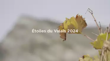 Humagne Rouge de la Cave Le Bosset