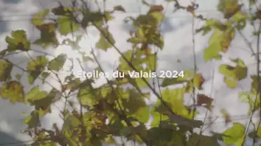 Nominé n°8