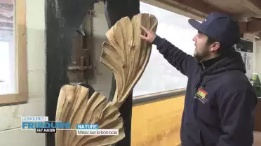 La mise de bois de la Gruyère bat son plein